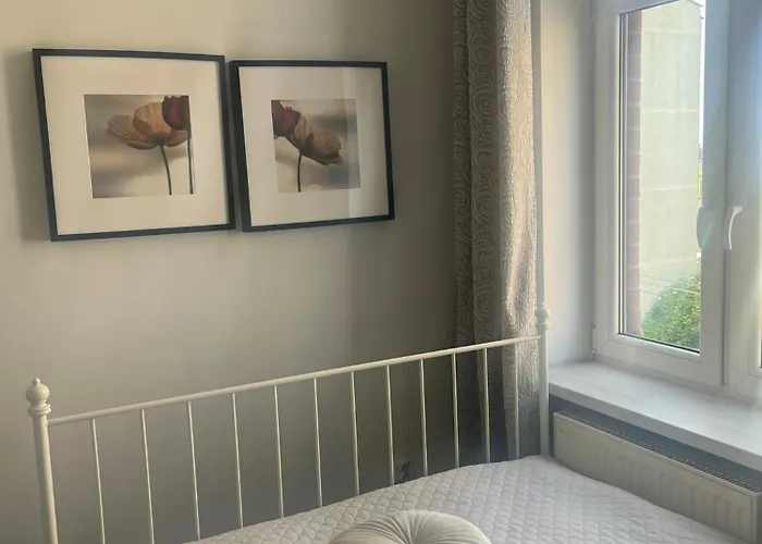 Hstyle Mikolowska 9 *